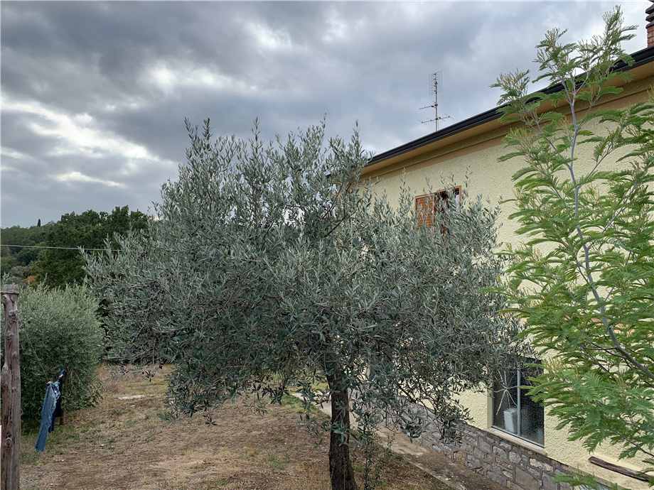 Casa indipendente in vendita a San Vito In Monte, San Venanzo (TR)