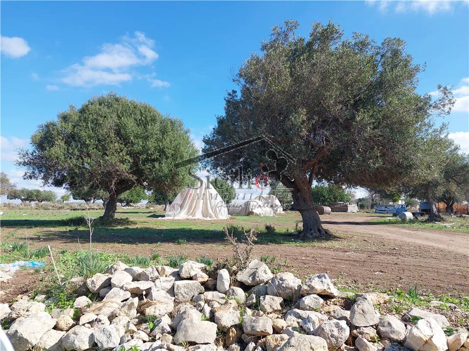 Terreno edificabile in vendita a Scicli (RG)