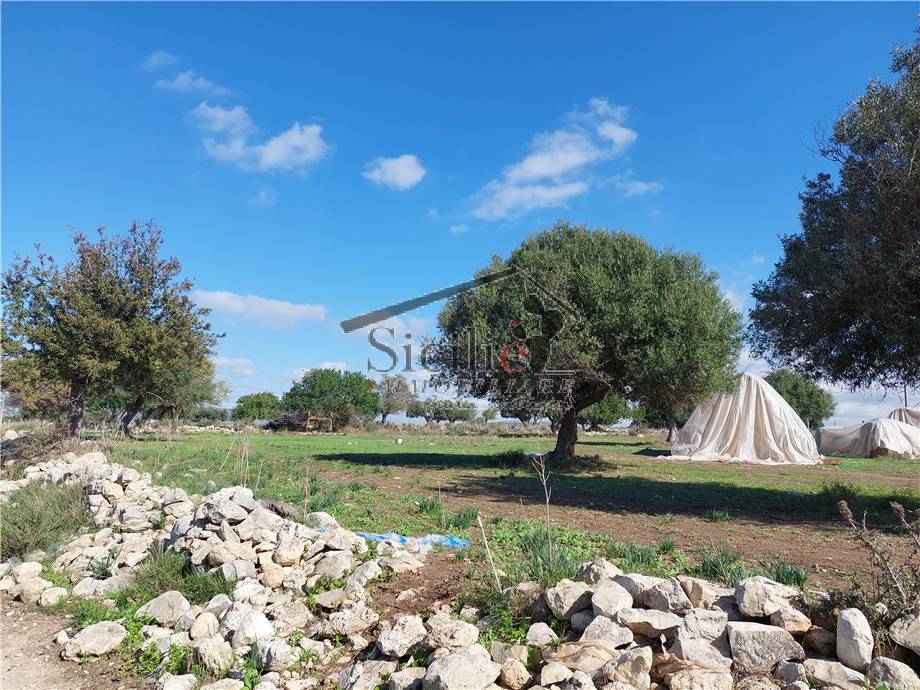 Terreno edificabile in vendita a Scicli (RG)