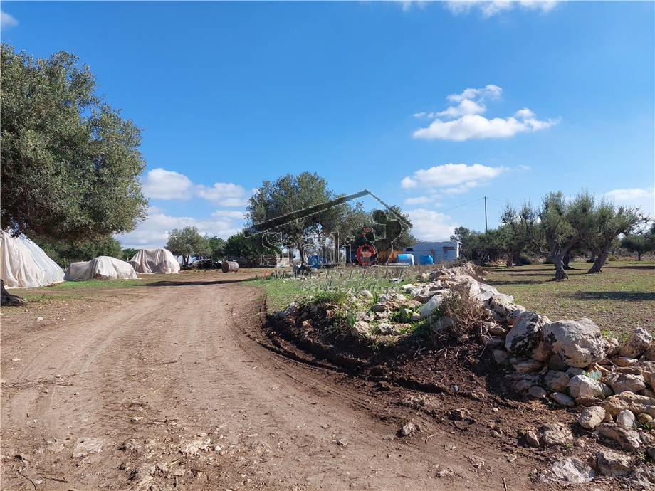 Terreno edificabile in vendita a Scicli (RG)