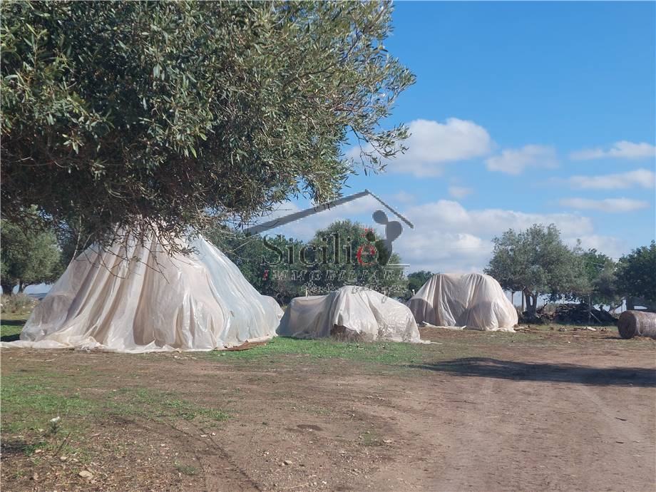 Terreno edificabile in vendita a Scicli (RG)