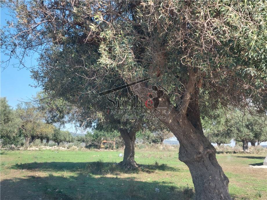 Terreno edificabile in vendita a Scicli (RG)