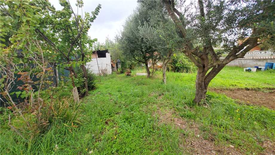 Terreno edificabile in vendita a Fiumicino (RM)