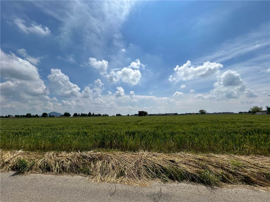 Terreno agricolo in vendita a Tagliuno, Castelli Calepio (BG)