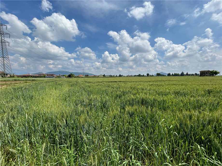 Terreno agricolo in vendita a Tagliuno, Castelli Calepio (BG)