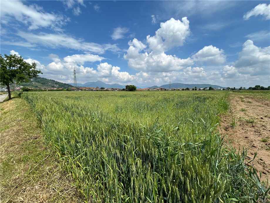 Terreno agricolo in vendita a Tagliuno, Castelli Calepio (BG)