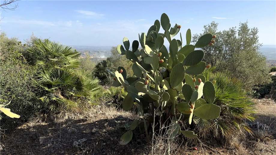 Villa in vendita a Noto (SR)