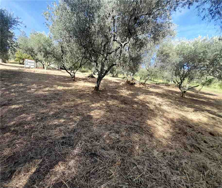 Vendita Villa/Casa singola Capannori San Pietro a Marcigliano #cindspie350 n.13