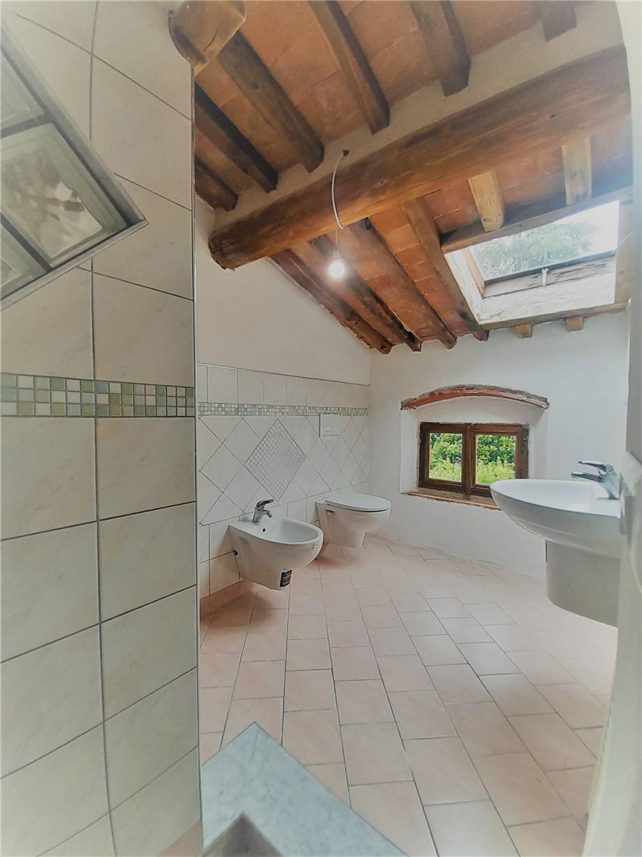 Venta Villa/Casa independiente Capannori Carraia #trccarr179 n.4