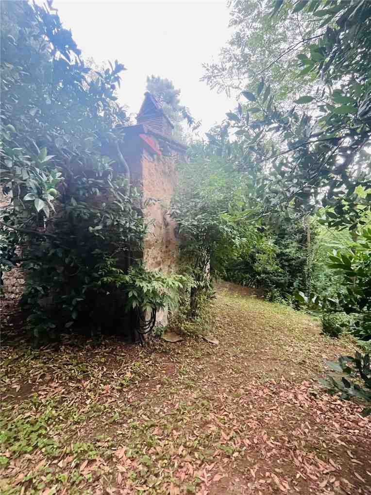 For sale Land Capannori Colle di Compito #teredcolle60 n.6