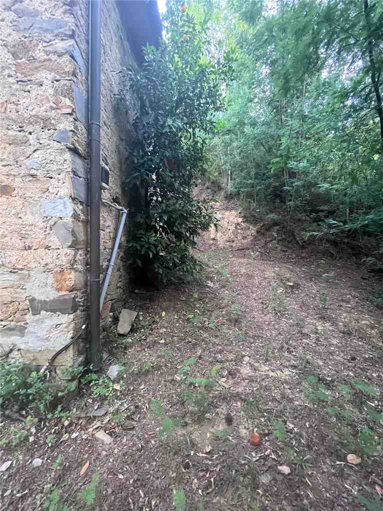 For sale Land Capannori Colle di Compito #teredcolle60 n.7