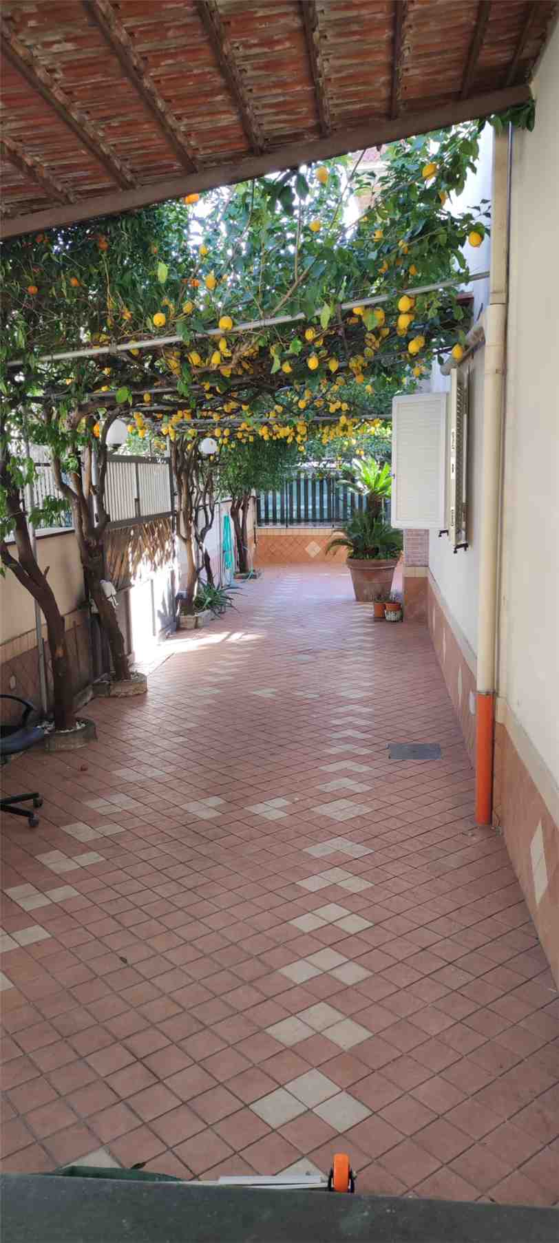 Vendita Villa/Casa singola Melito di Napoli Melito #409 n.7